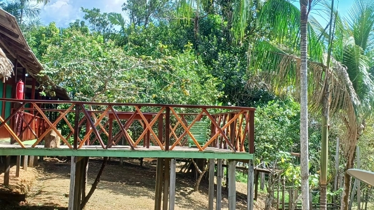 Imagem de vitrine